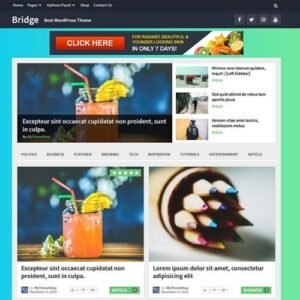 MyThemeShop Bridge WordPress Theme